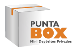 punta box logo